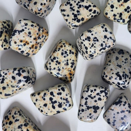 Dalmatian Jasper Tumblestones